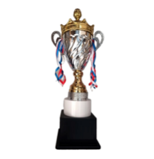 Gold and silver metal trophy with ribbons on marble base.