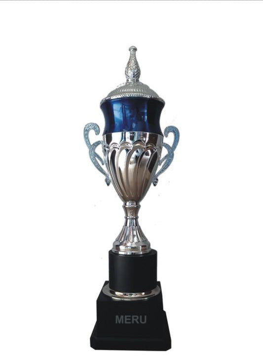 Silver and blue metal trophy award; perfect for sports awards and recognition.