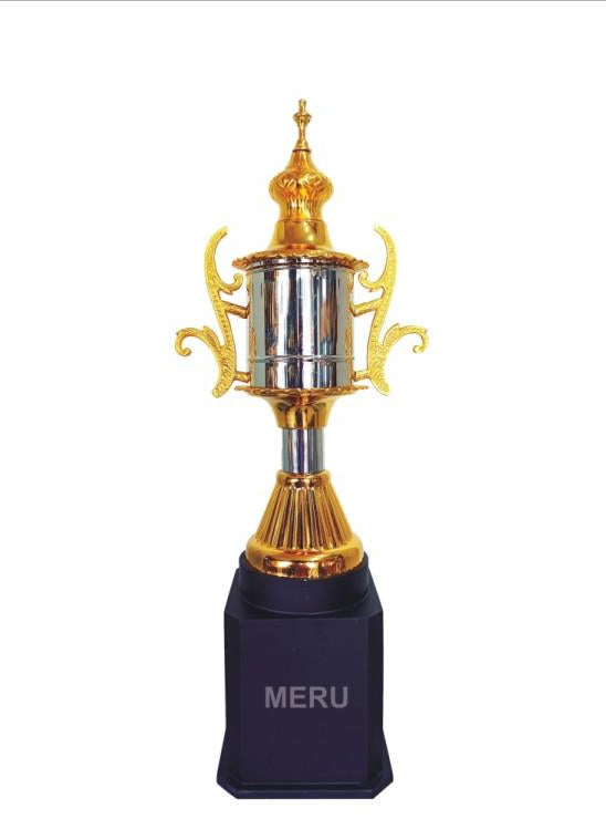 Gold and Silver Achievement Trophy - AS916 - Sports Award