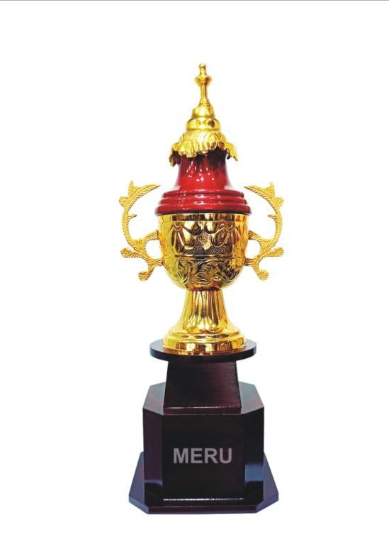 Gold and maroon metal trophy; ideal for sports awards and corporate recognition.