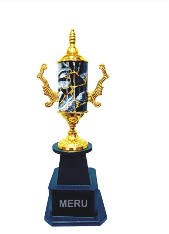 Metal Trophy - Black & Gold Achievement Award