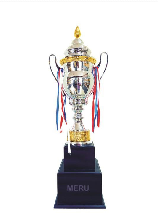 Silver & Gold Metal Trophy Award - Sports Recognition