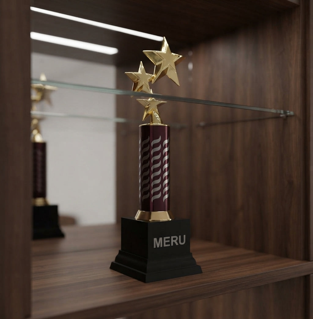 Star Trophy Awards and Corporate Recognition 621 alternate view - Meru Trophy