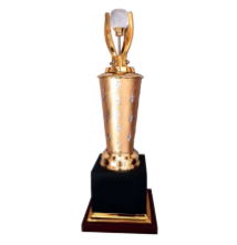 Gold and Black Award Trophy - Premium Recognition Award