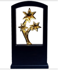 Black and Gold Star Acrylic Trophy - Award Trophy Design