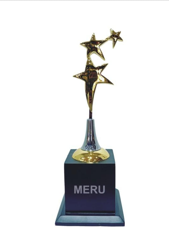 Gold star corporate trophy