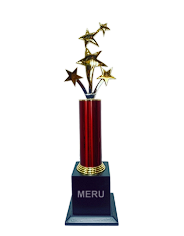 Star Burst Corporate Trophy 510 - Gold Star Recognition Award