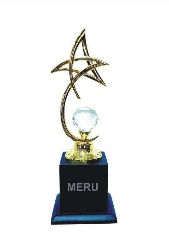 Gold star crystal trophy.