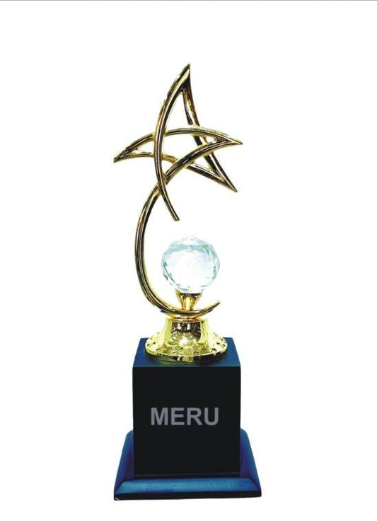 Gold star crystal trophy.