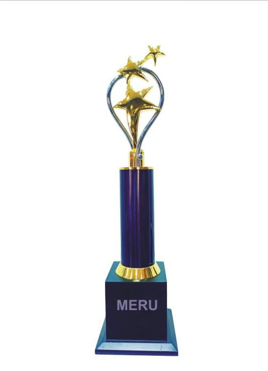 Premium Star Award Trophy - Corporate Trophy Design