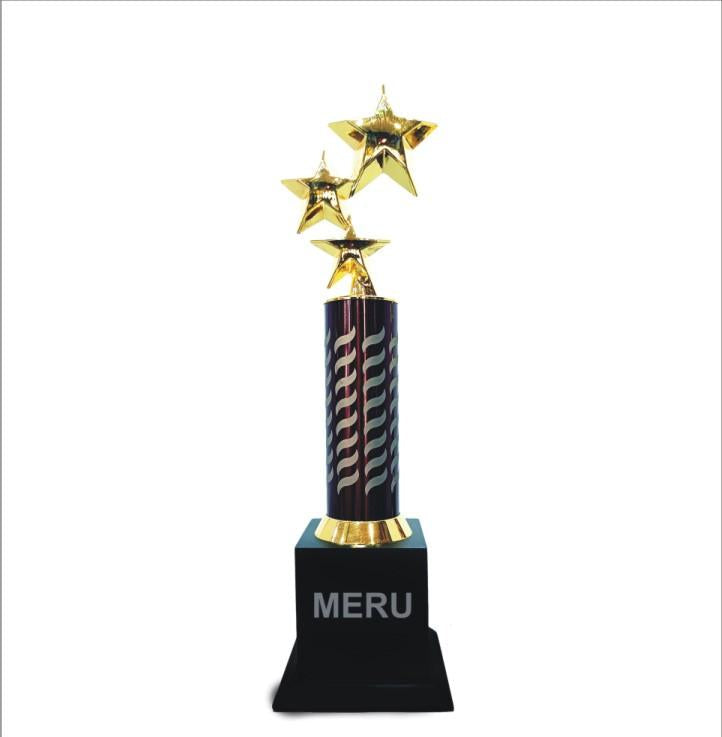Golden Star Trophy - Corporate Recognition Award