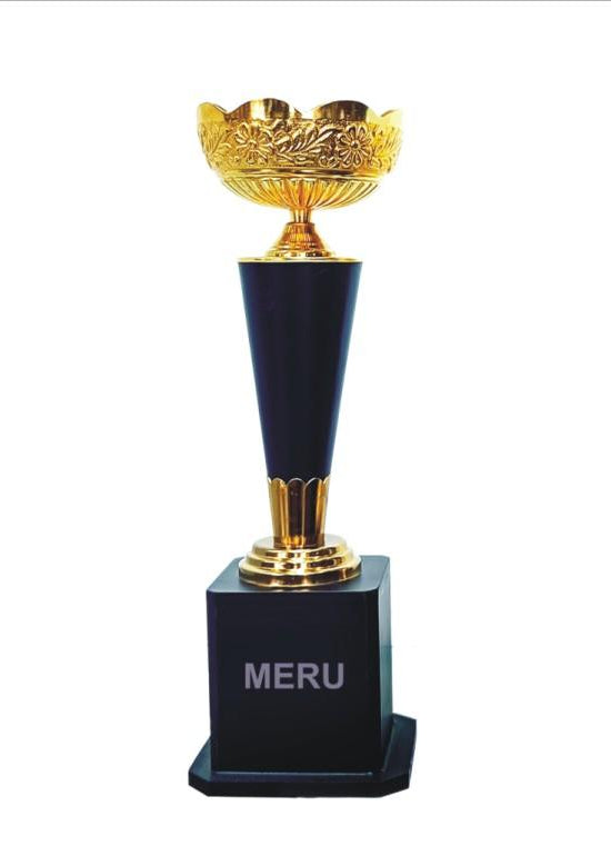 Elegant gold trophy symbolizing achievement and recognition. Ideal for corporate awards and trophies.