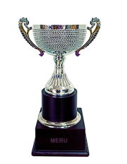 Silver metal cup trophy; perfect for sports awards and corporate recognition.