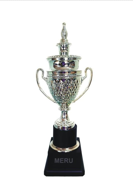 Elegant metal cup trophy; symbol of achievement.