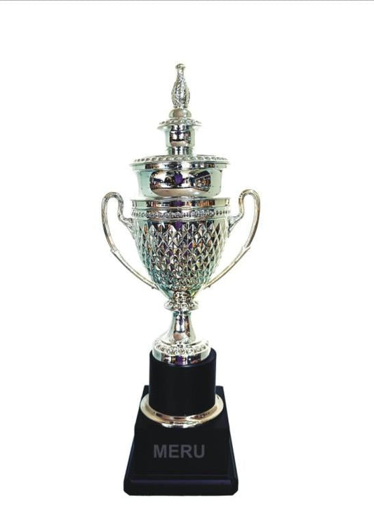 Elegant metal cup trophy; symbol of achievement.