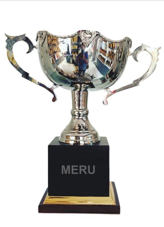 Silver Metal Trophy - Sports Achievement