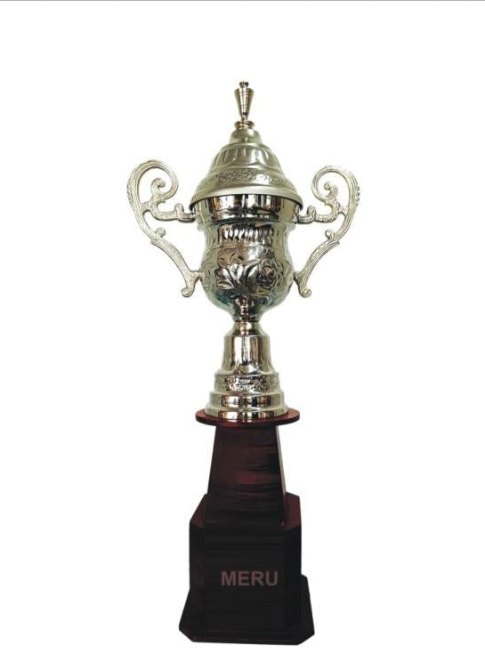 Silver metal trophy with a dark wood base; perfect for sports awards and recognition.