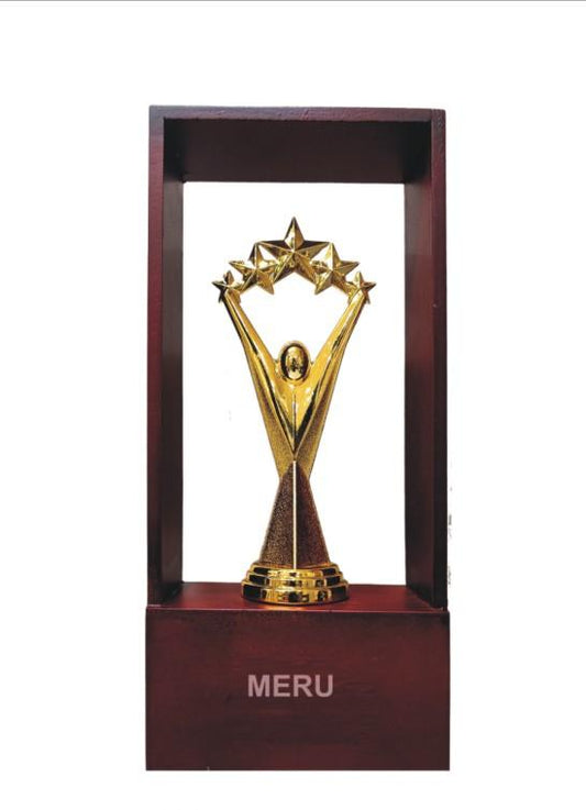 Star Achievement Trophy