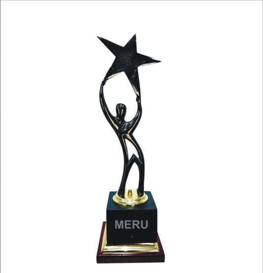 Star Achiever Trophy - A premium corporate trophy design for recognition awards.
