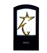 Star & Crescent Acrylic Trophy - Ideal for corporate awards and employee recognition.