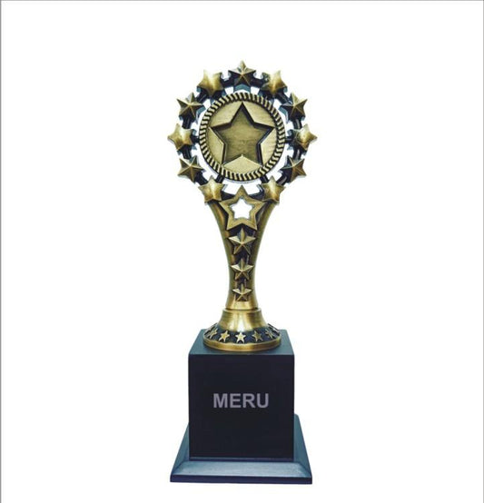 Gold Star Trophy - Symbol of Achievement