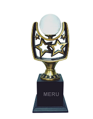 Elegant Star Globe Corporate Trophy 628; ideal for recognition awards and employee appreciation.