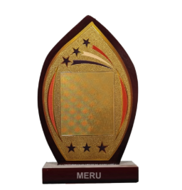 Elegant Wooden Flame Award Trophy - Recognition and Appreciation