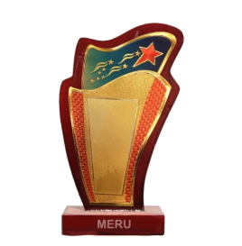 Wooden trophy award 509; perfect for employee recognition.