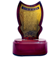 Elegant wooden trophy with gold plate; perfect for corporate recognition.