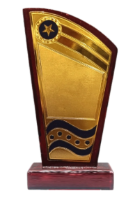 Elegant Wooden Memento for Recognition Awards