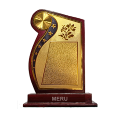 Elegant Wooden Recognition Award
