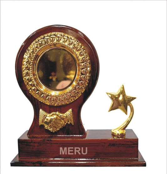 Custom Wooden Star Trophy - A unique award for employee recognition.