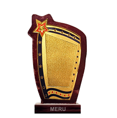 Elegant wooden trophy with a gold star; perfect for employee recognition awards.